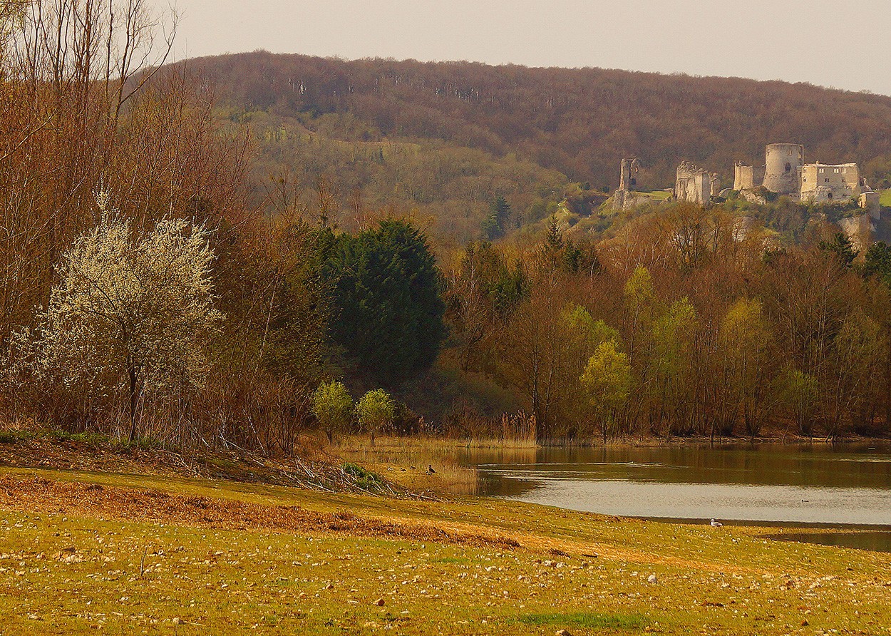 "El castillo y el almendro." de Gerardo Saint Martn