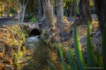 Acequia