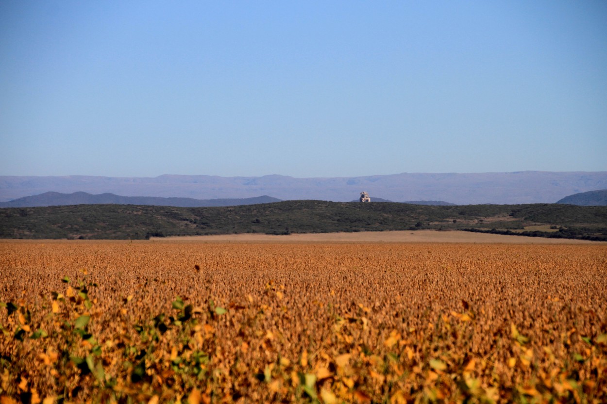 "custodio del paisaje" de Guillermo Covelli