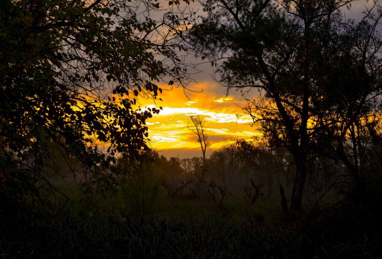 "Atardece en Escobar" de Mercedes Pasini