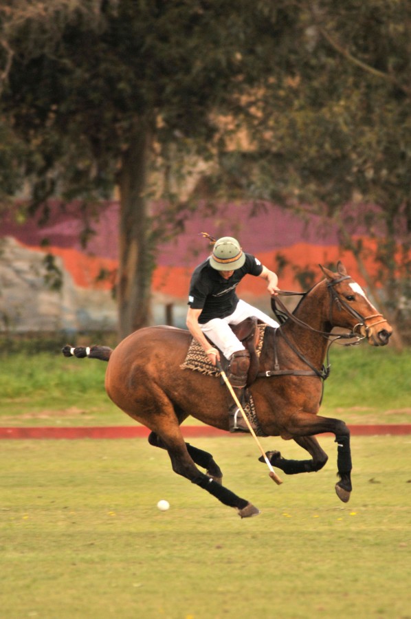 "Polo" de Mauricio Alejandro Granata.