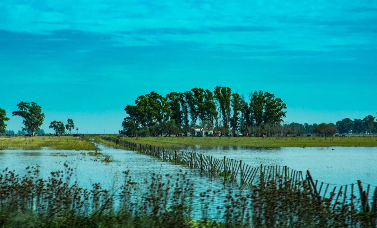 "` DESPUES DE LA LLUVIA `" de Graciela Larrama