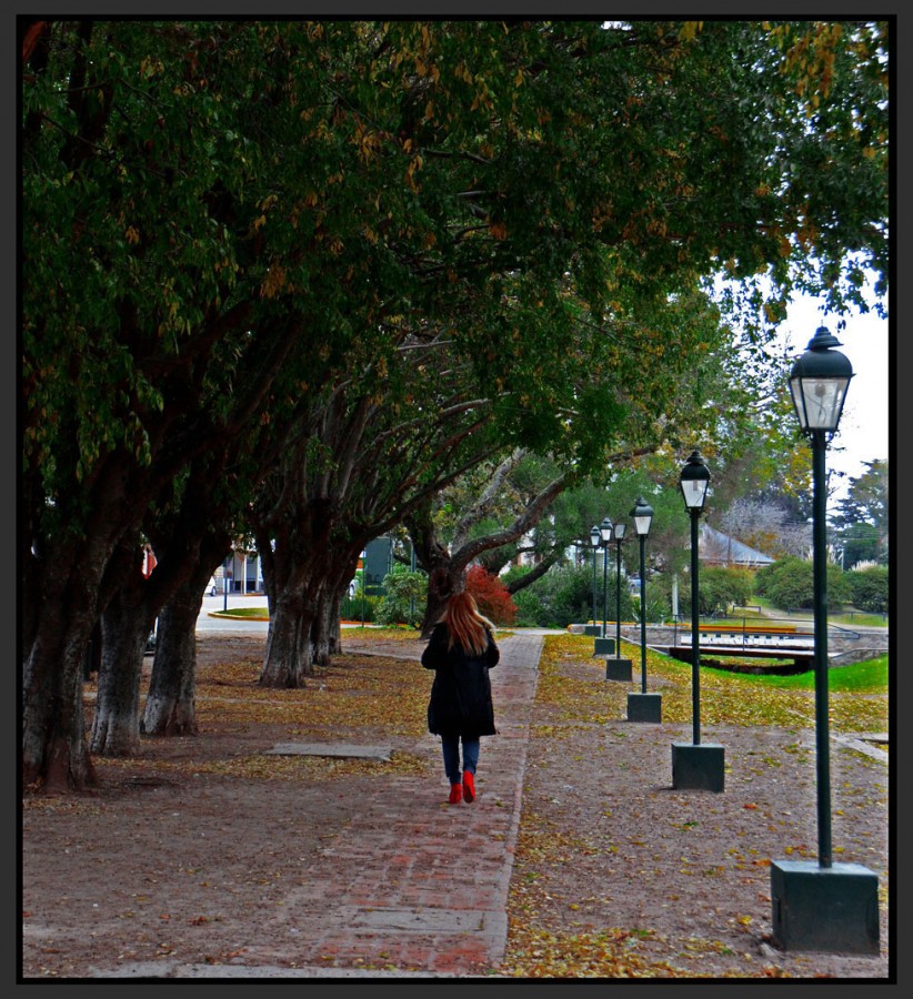 "Paseo de otoo" de Jorge Vicente Molinari