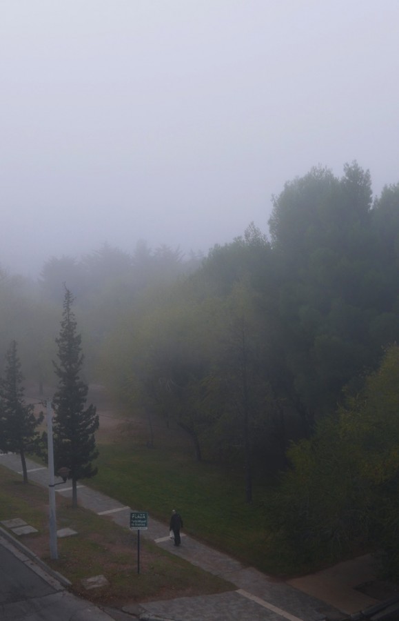 "La niebla y el caminante." de Carlos E. Wydler