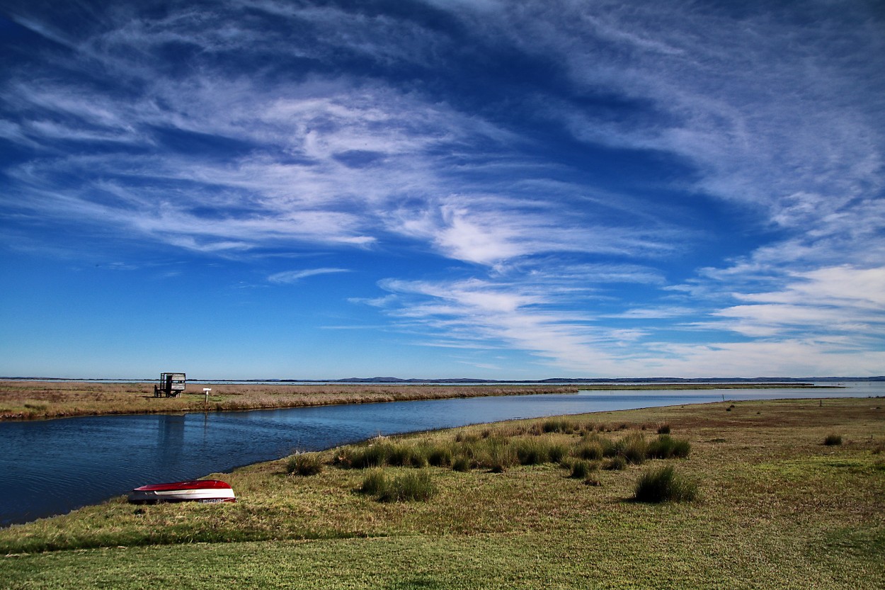 "Laguna de Castillos" de Juan Carlos Barilari