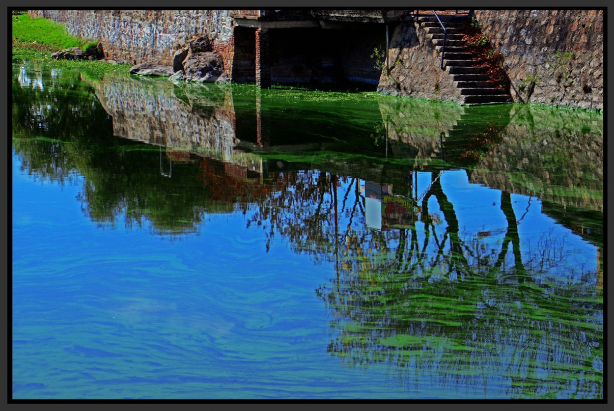 "Reflejos del lago" de Jorge Vicente Molinari