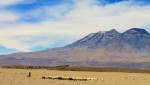 Apurando a la tropa por esos cerros, el Arriero v