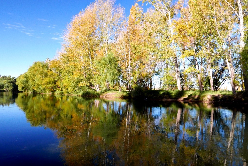 "La costa del Limay." de Carlos E. Wydler