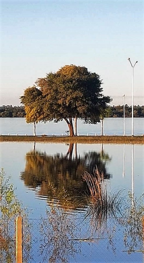 "reflejos verdes" de Valentn Rizzi