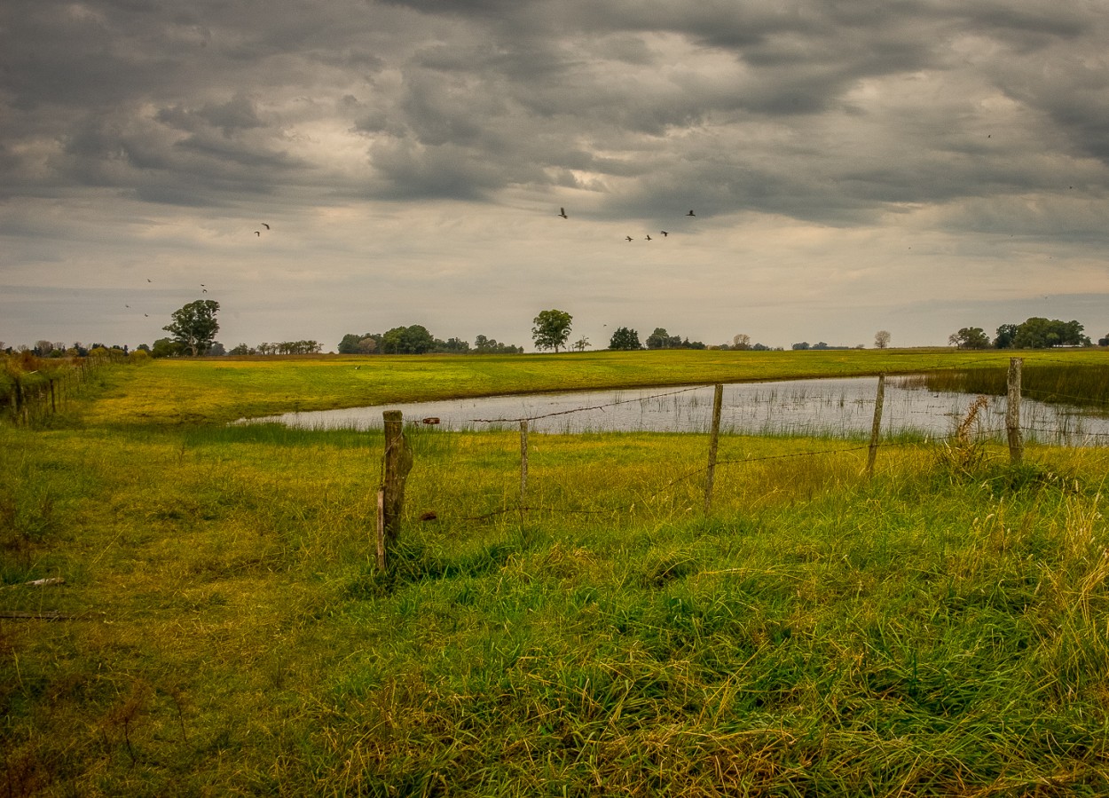 "El campo" de Fernando Valdez Vazquez