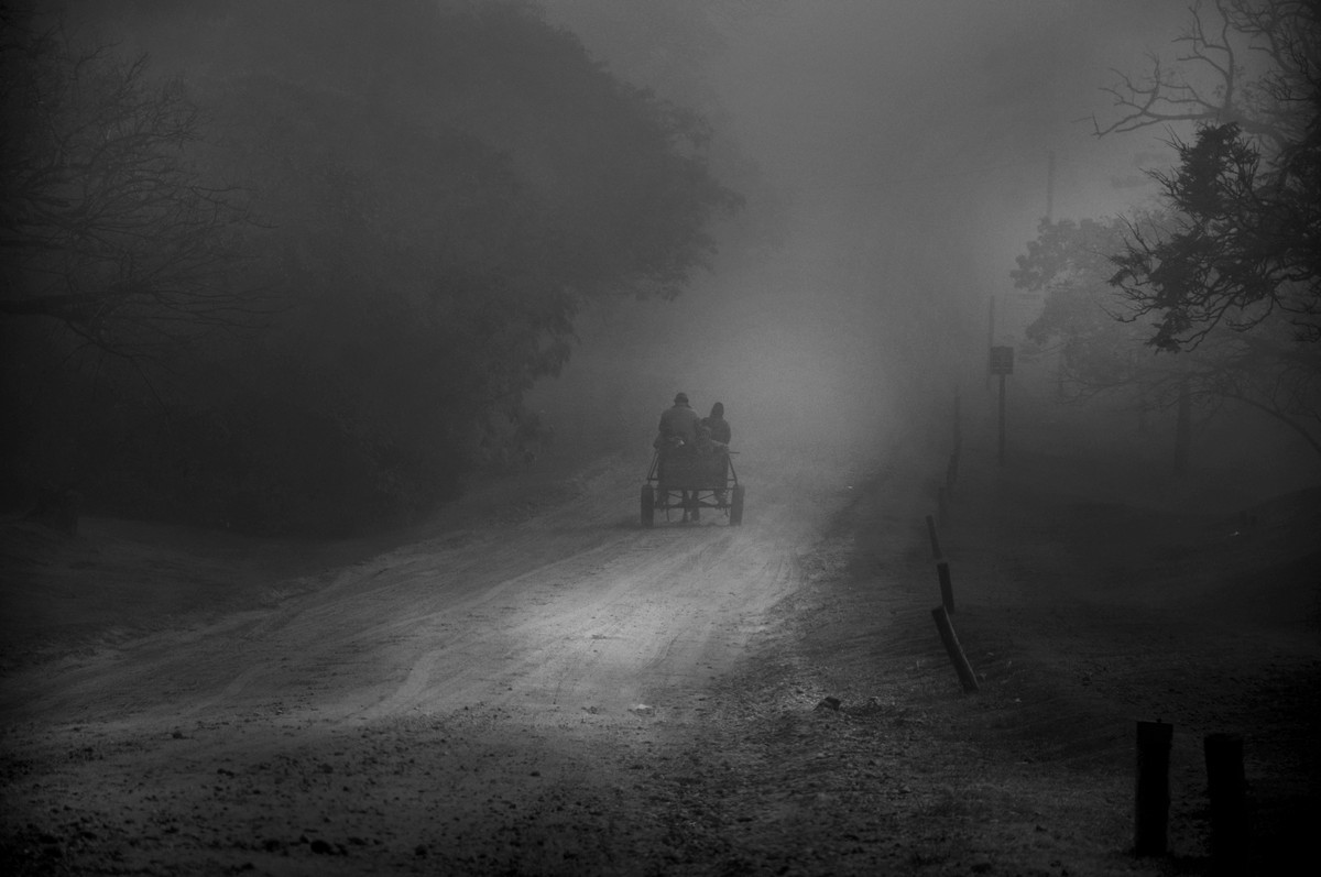 "` La niebla nos acompaa`" de Cristian Francolini