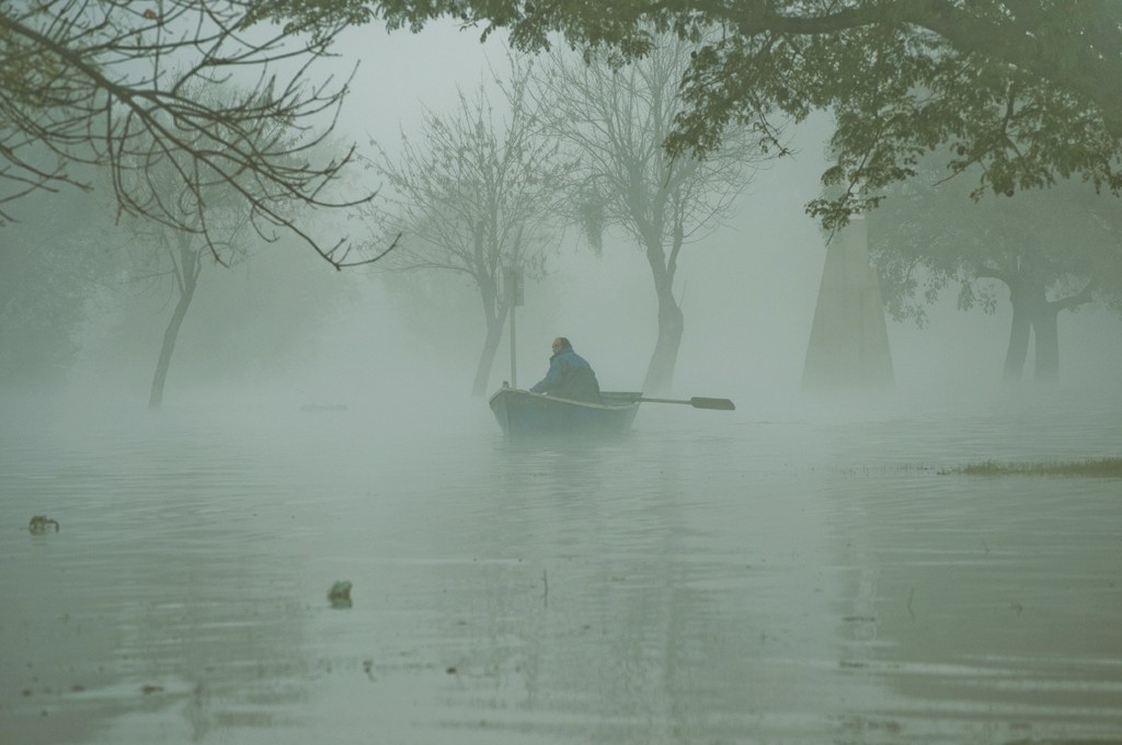 "Entre la niebla" de Ricardo H. Molinelli