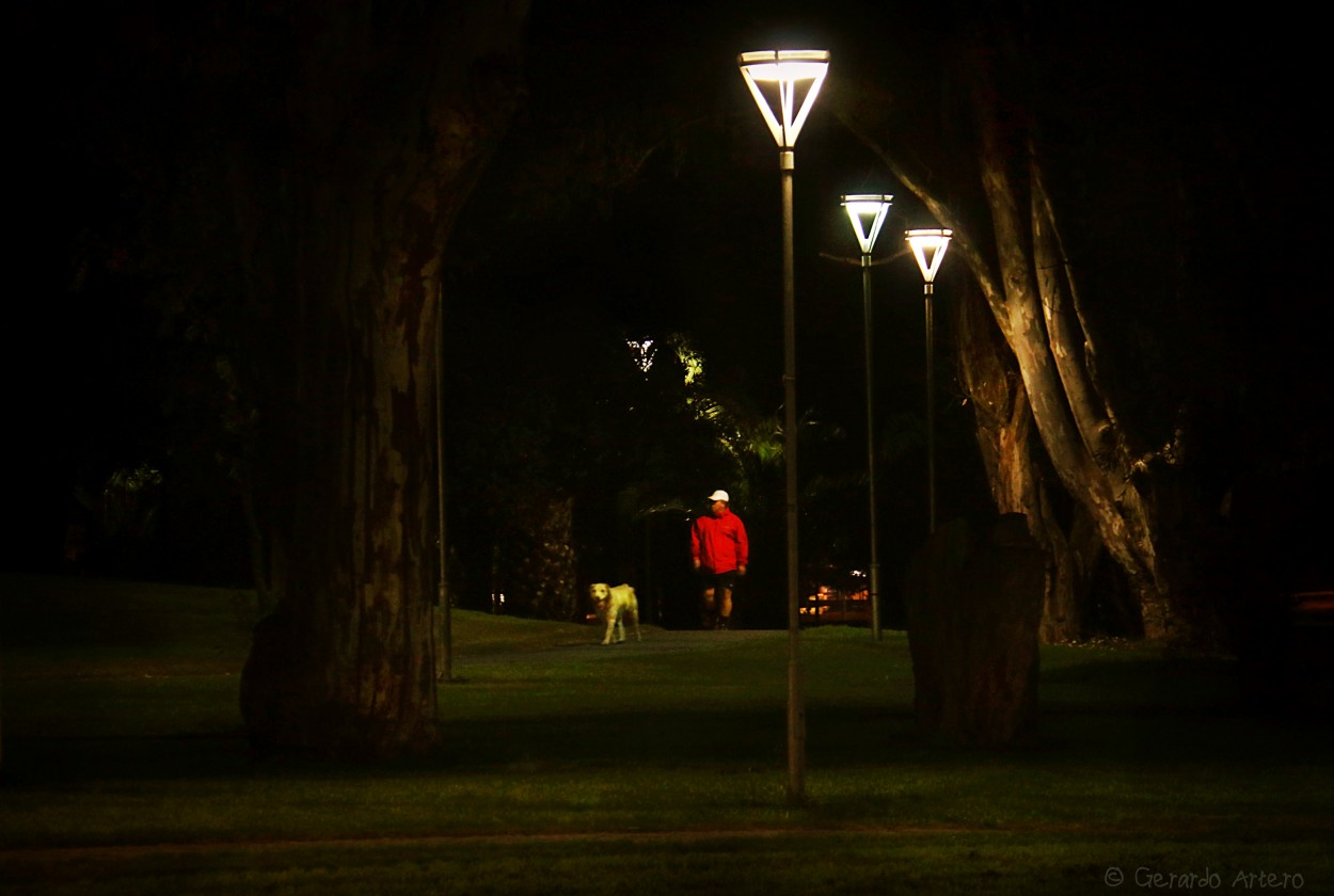 "Caminata nocturna." de Gerardo Artero