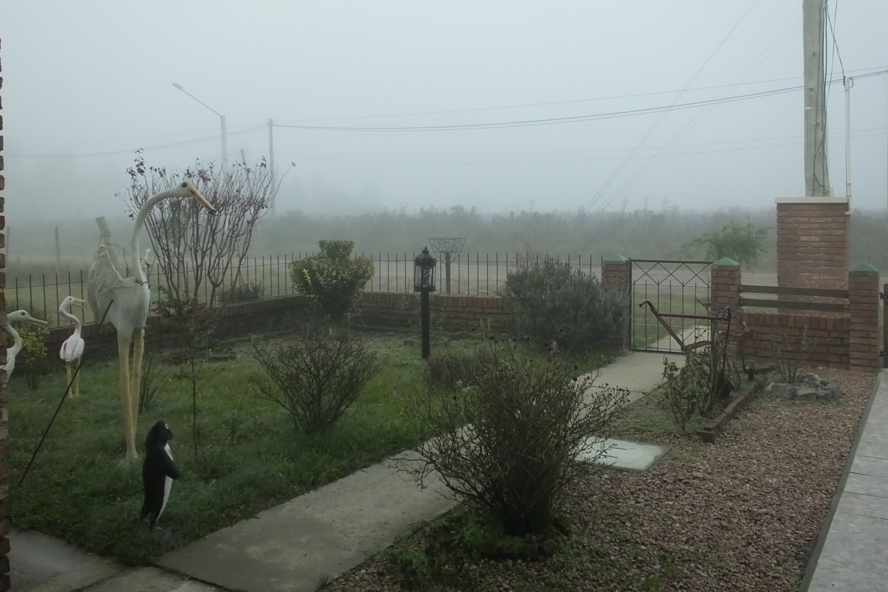 "Domingo con niebla" de Juan Fco. Fernndez