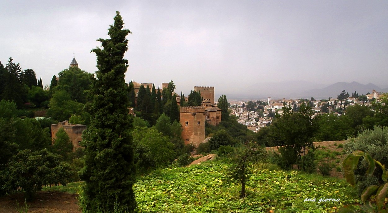 "Granada" de Ana Giorno