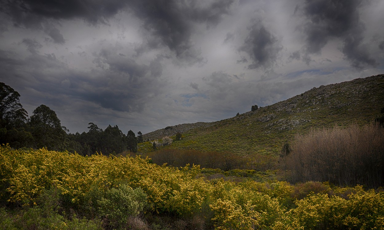 "la tormenta" de Edith Polverini