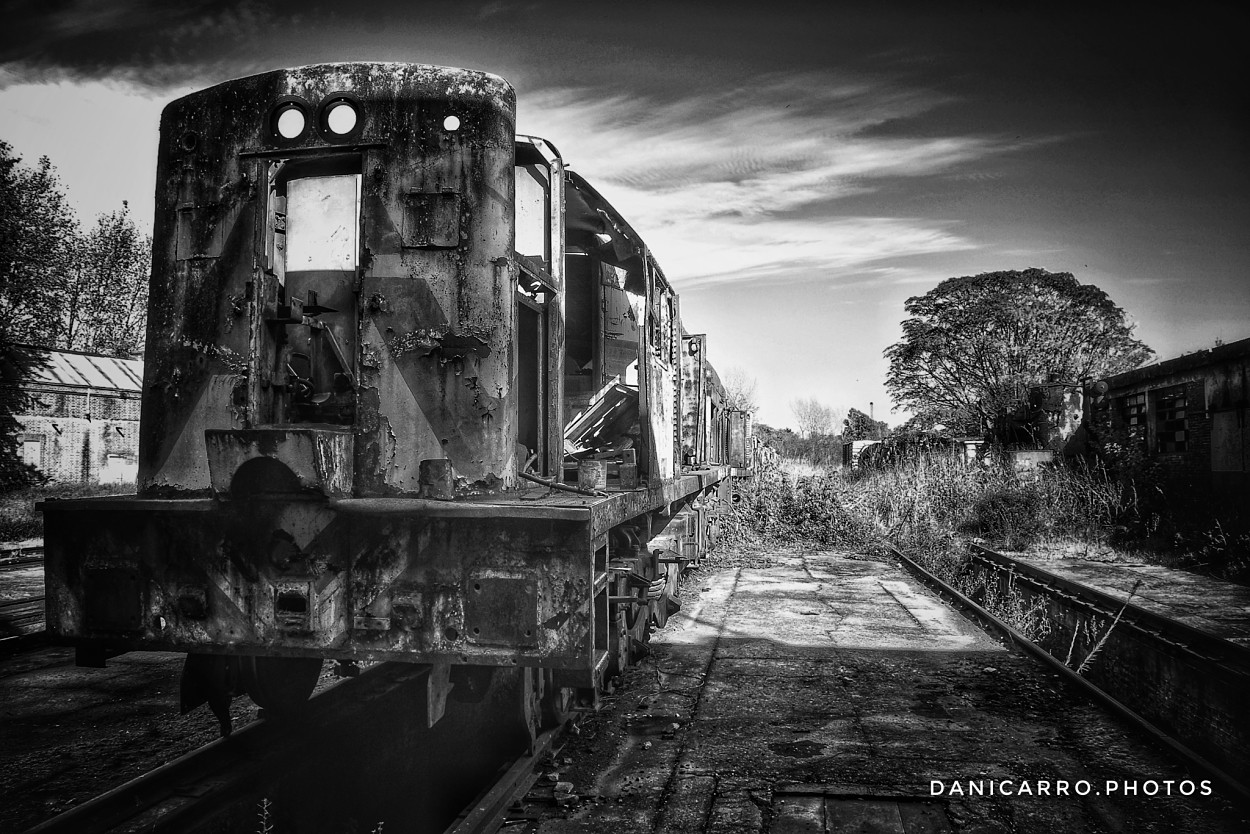 "Tren del olvido" de Daniela Carro