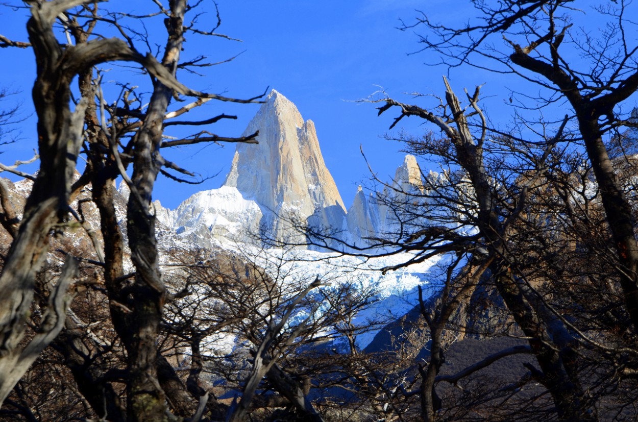 "Cerro Fitz Roy" de Jose Torino