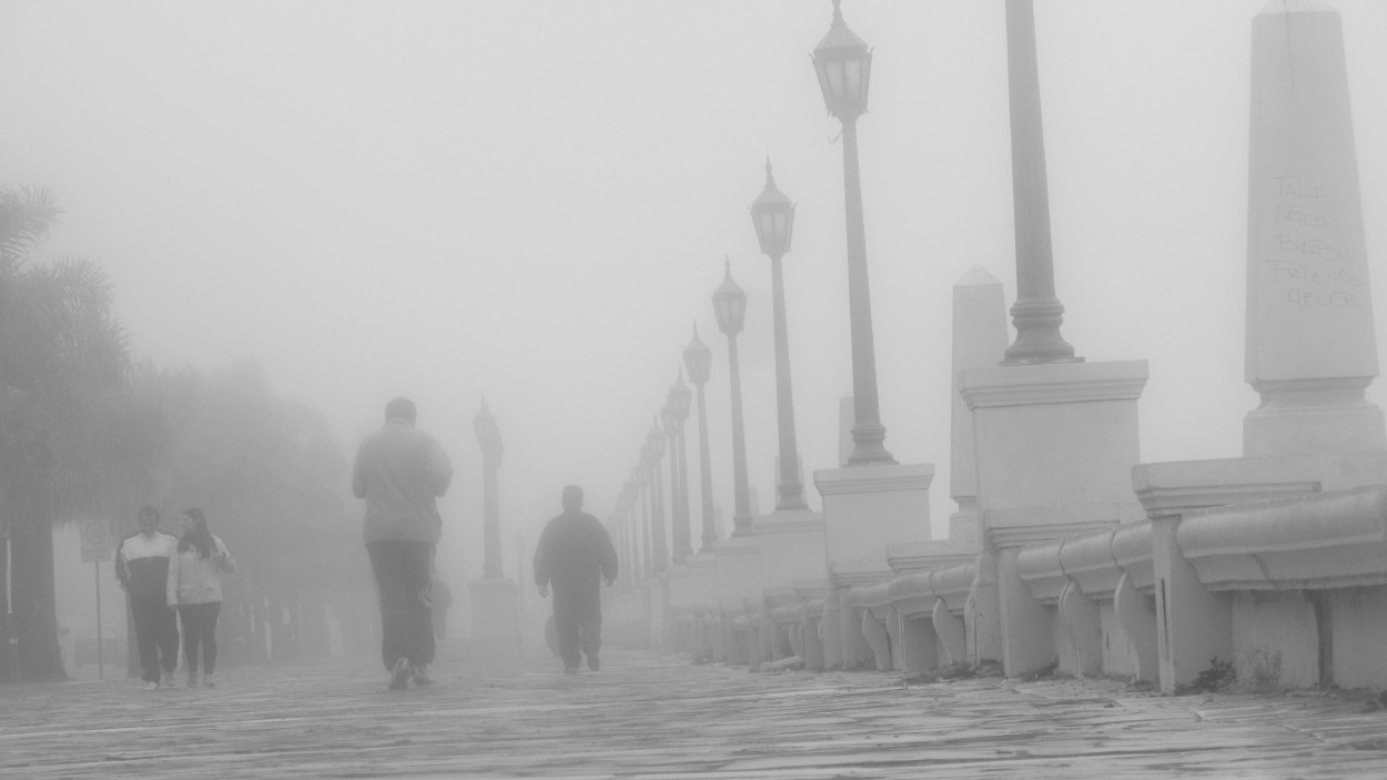 "Niebla" de Maria Gabriela Bieler