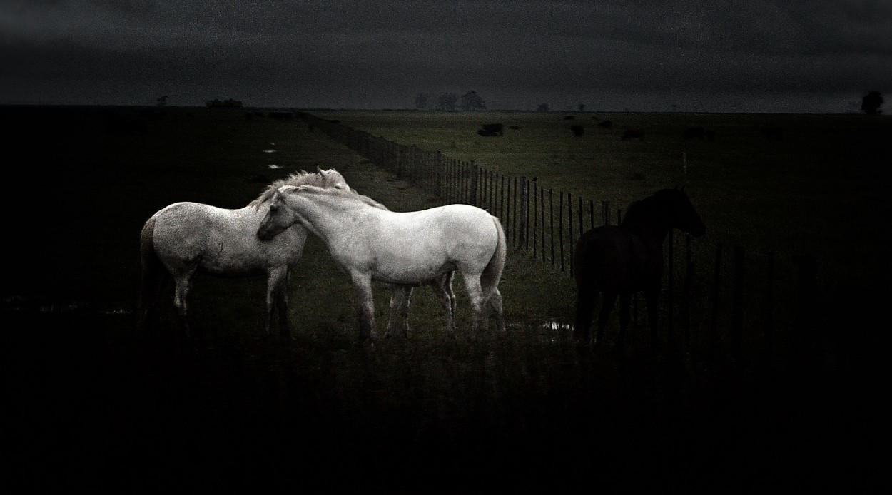 "Tres blancos" de Eduardo Ponssa