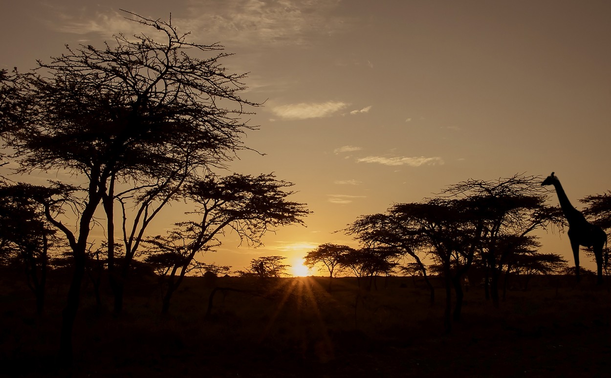 "atardecer en Masai Mar" de Edith Polverini
