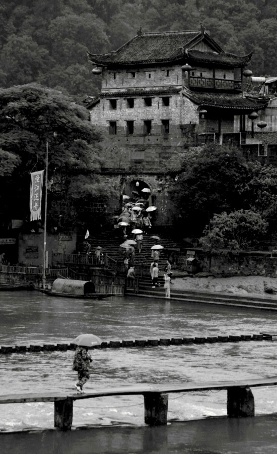 "Fenghuang bajo lluvia" de Francisco Luis Azpiroz Costa