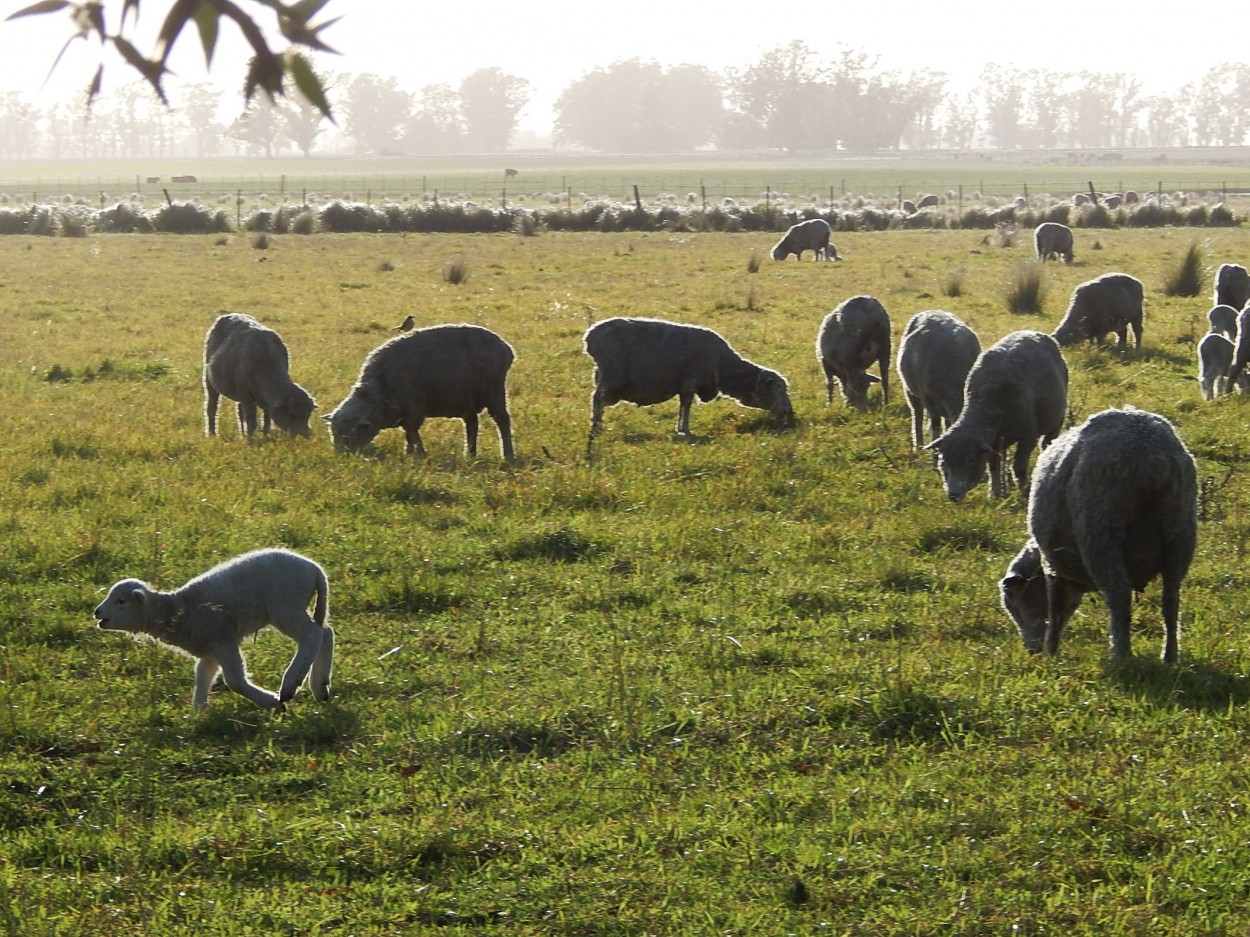 "Amanece en Balcarce" de Jos Luis Mansur