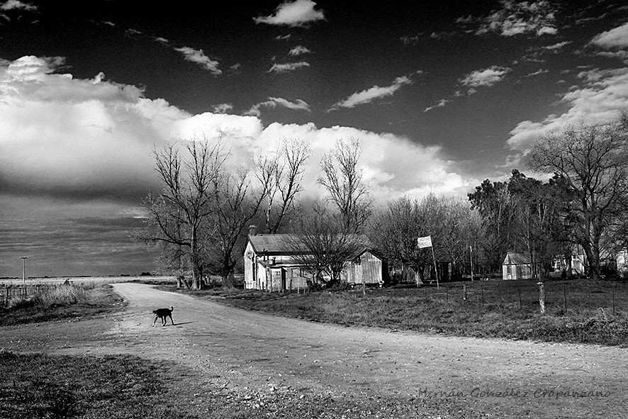 "Solo en el paraje" de Hernn Gonzlez Crapanzano