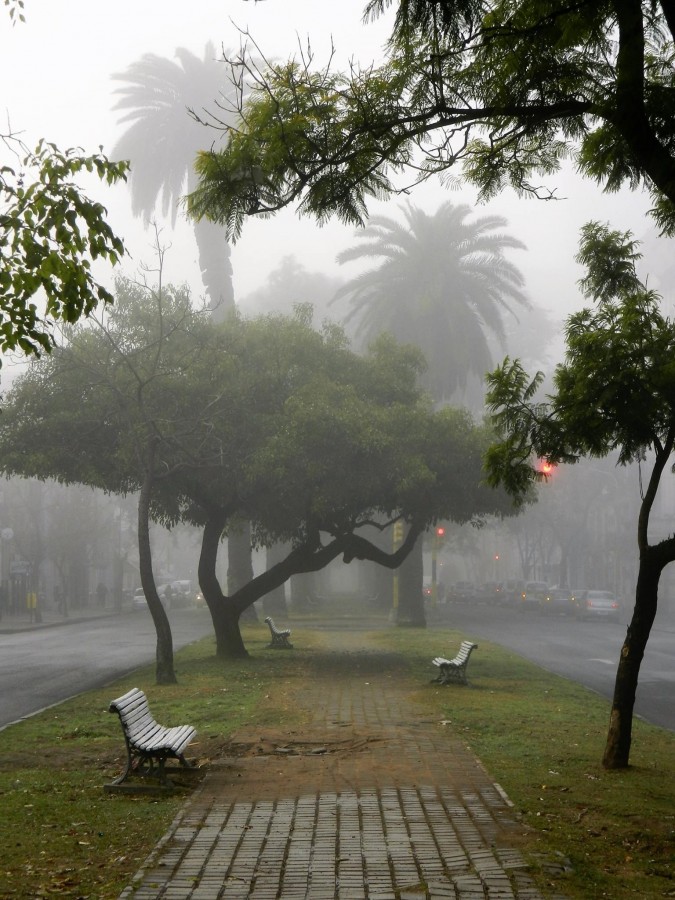 "Tunel de niebla" de Maria Gabriela Bieler