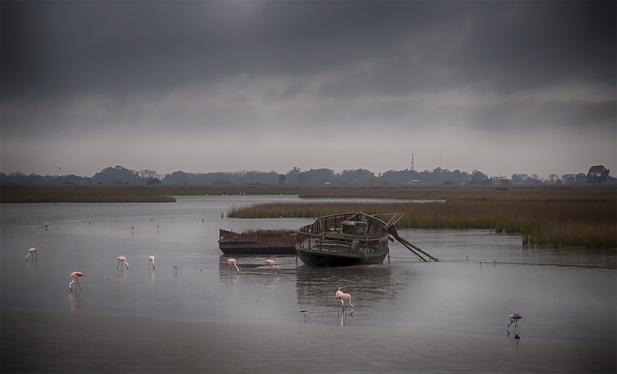 "en la tarde gris" de Edith Polverini