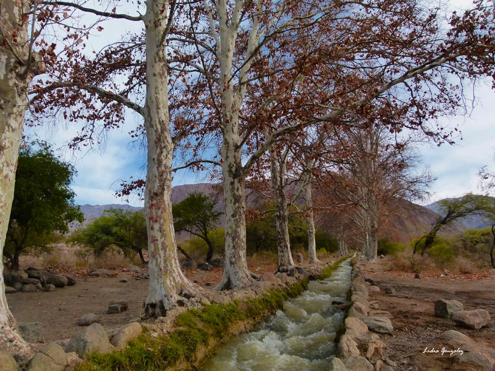 "LA ACEQUIA" de Lidia Gonzalez