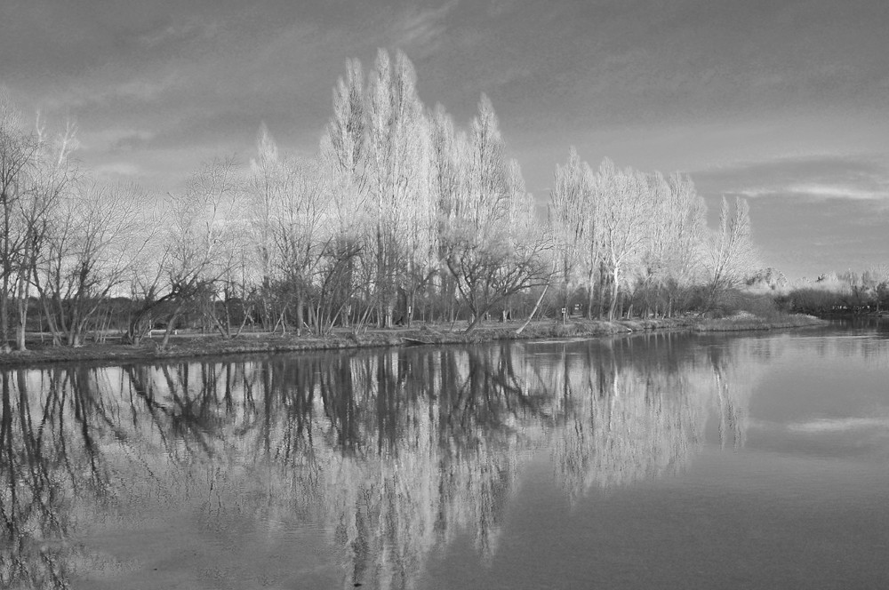 "Neuquen y Limay" de Osvaldo Sergio Gagliardi