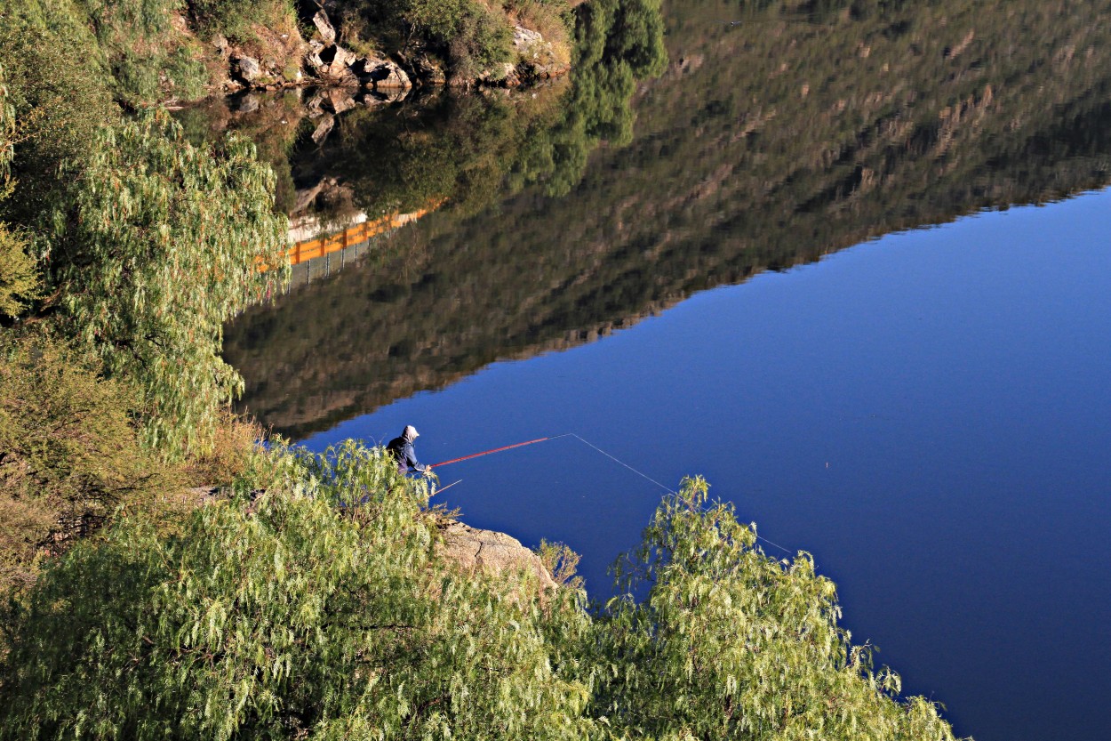 "pescador de reflejos" de Guillermo Covelli