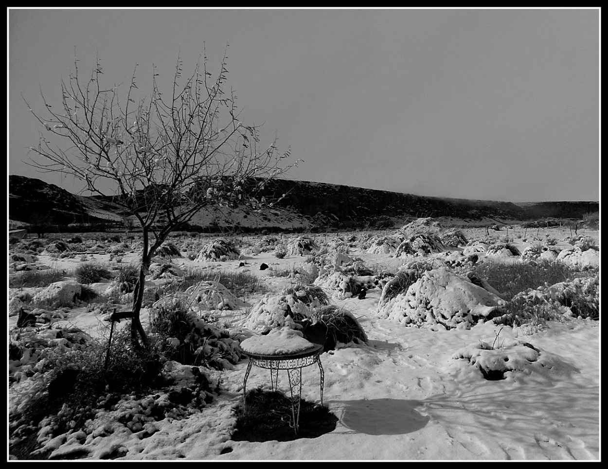 "nieve en el jardn" de Marcos Pedro Escudero