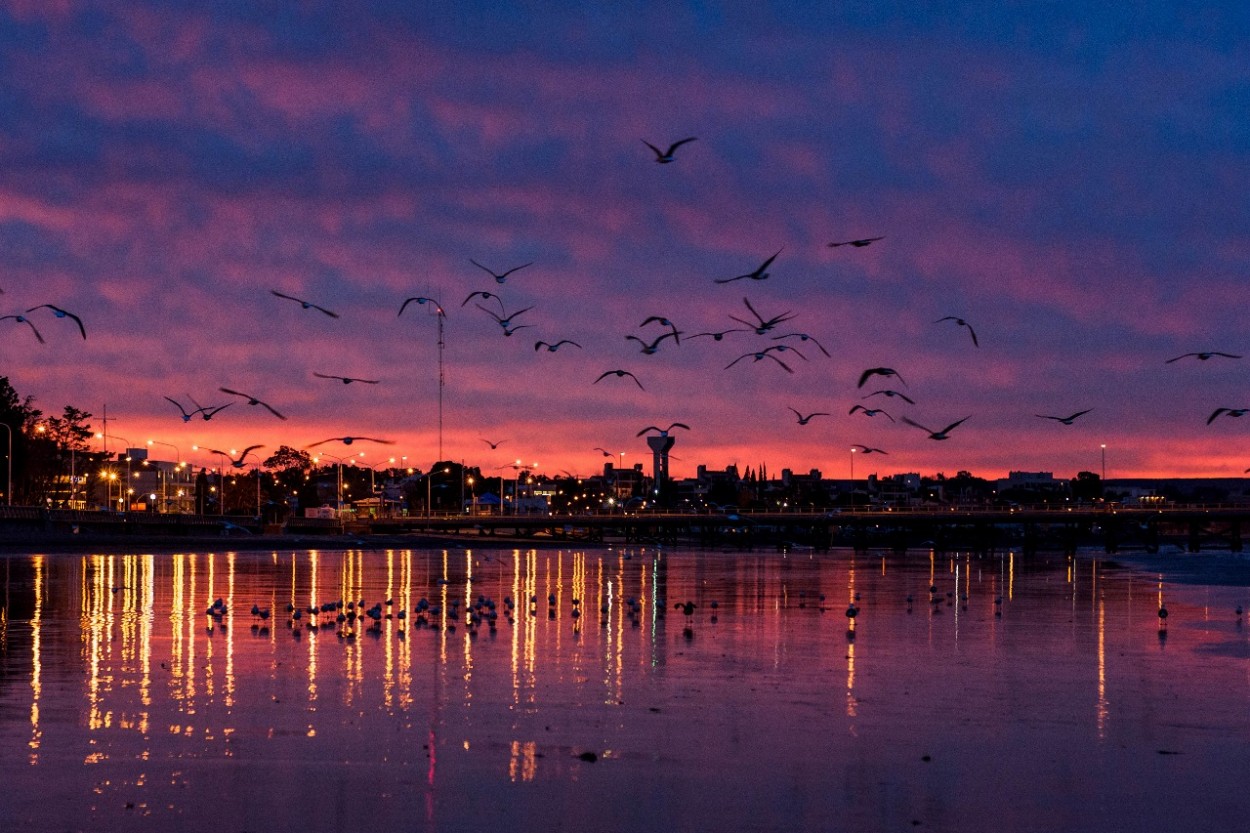 "La magia de vivir en madryn" de Pistara Emanuel