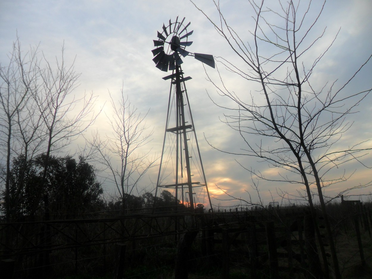 "Silencios de atardecer" de Gabriela Figueroa