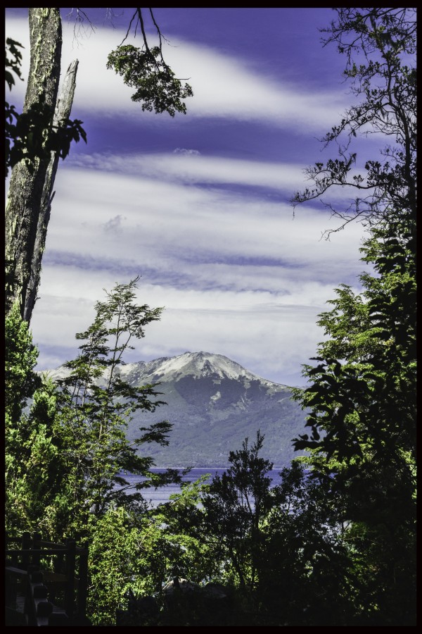 "ventana al sur" de Vanesa Martinez