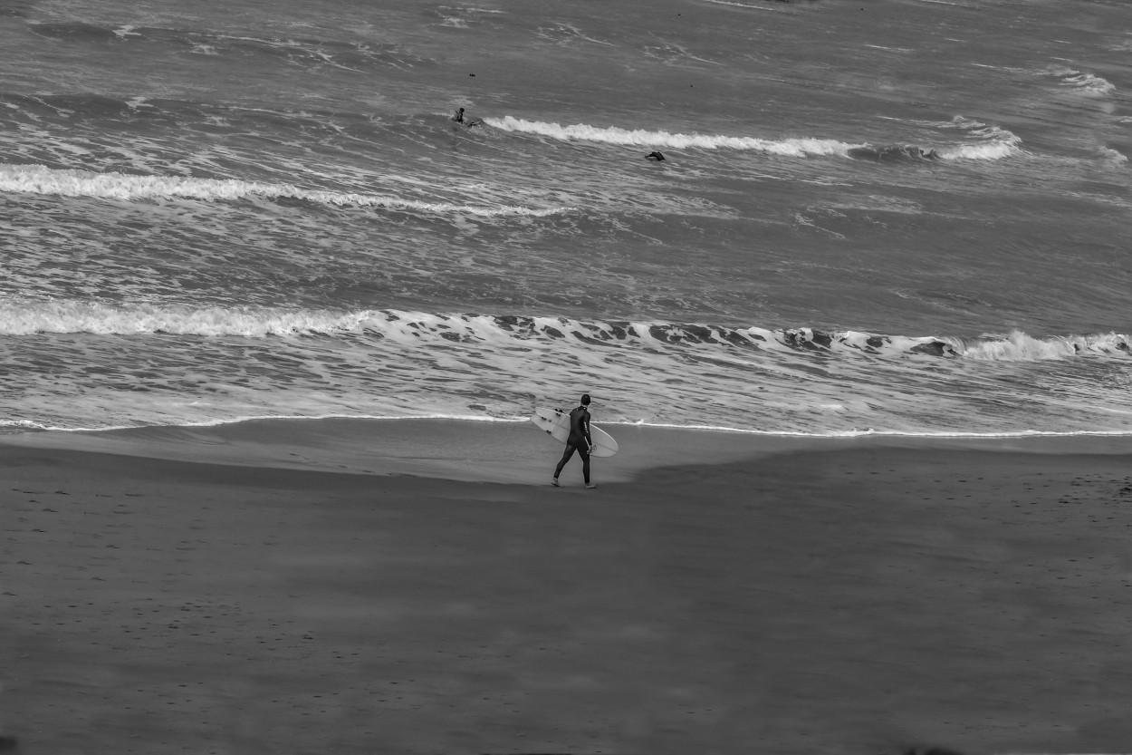 "El buscador de olas" de Adriana Claudia Gallardo