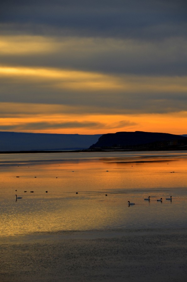 "Atardecer en Lago Argentino" de Jose Torino