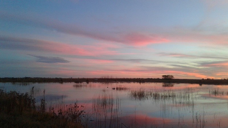 "Laguna al atardecer" de Sara Carolina Vargas Labrn