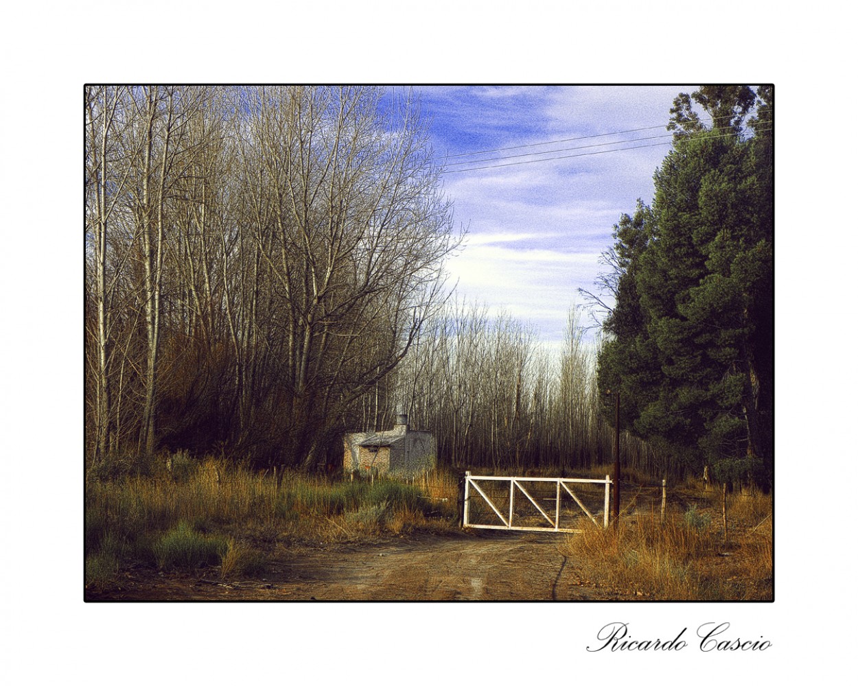 "Invernal 2" de Ricardo Cascio