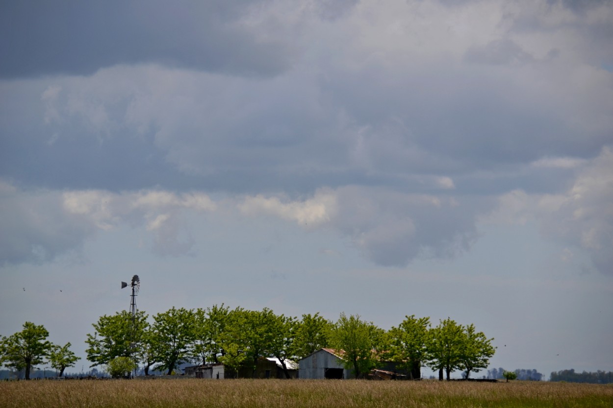 "El campo" de Carlos D. Cristina Miguel