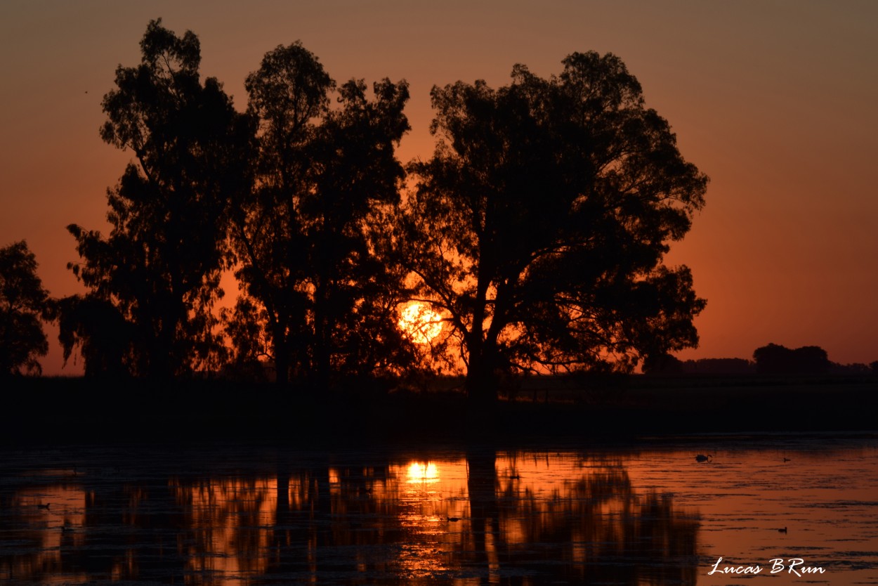 "Atardecer en el campo" de Lucas Brun