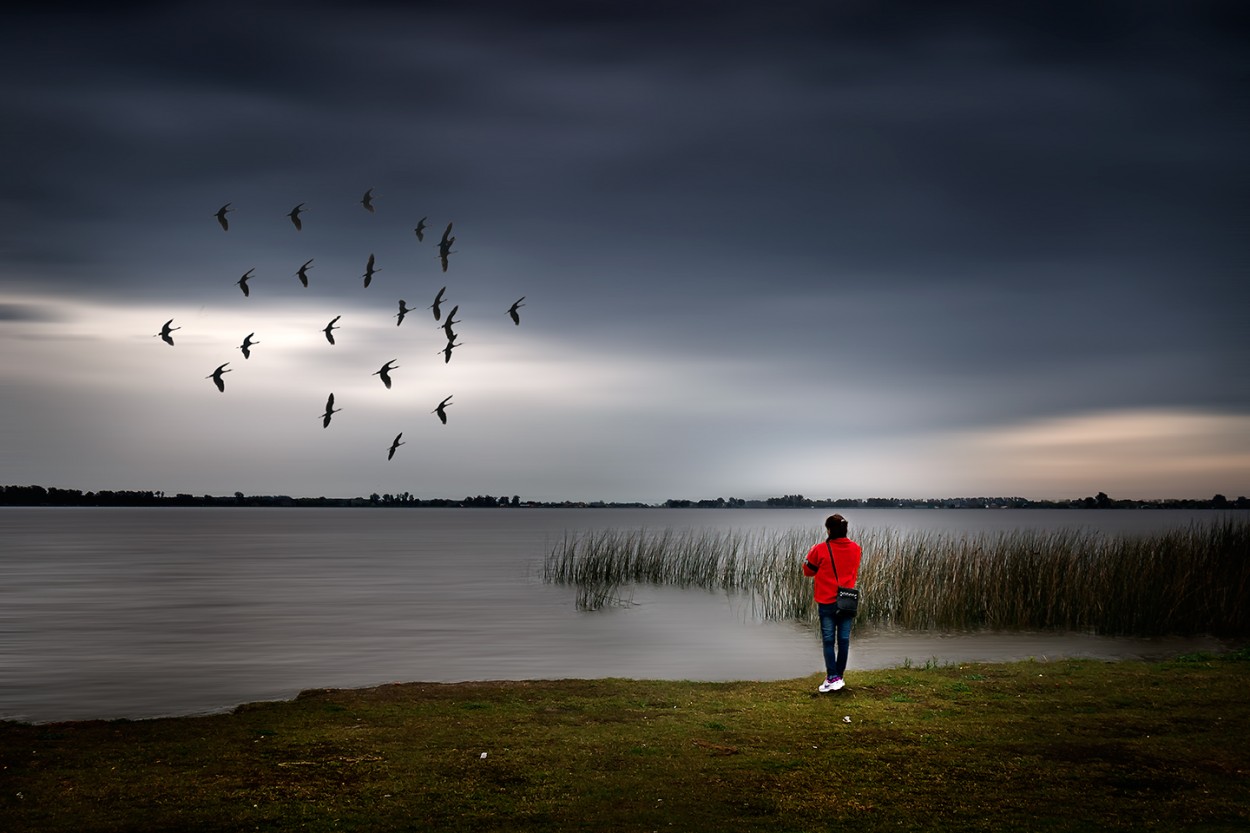 "Calma en la laguna" de Hctor Martn Tabuyo