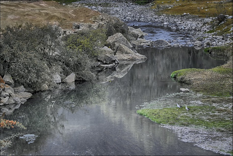 "Arroyo serrano" de Ruben Perea