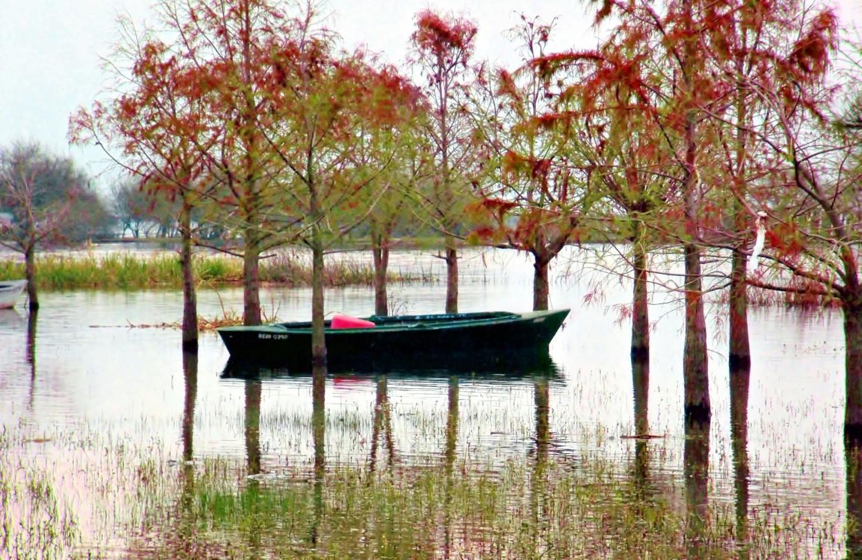 "Reflejo" de Claudia Perez