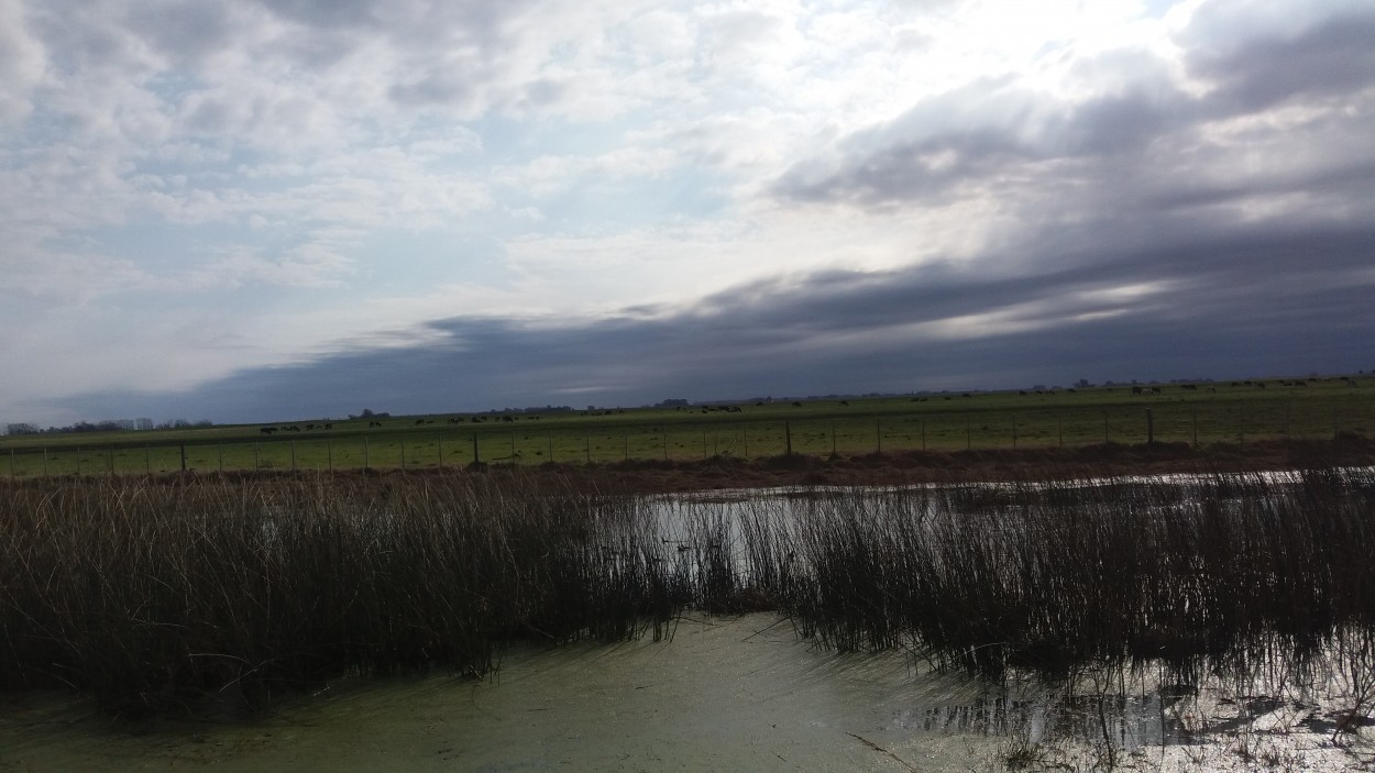 "Campos Argentinos" de Gabriela Figueroa