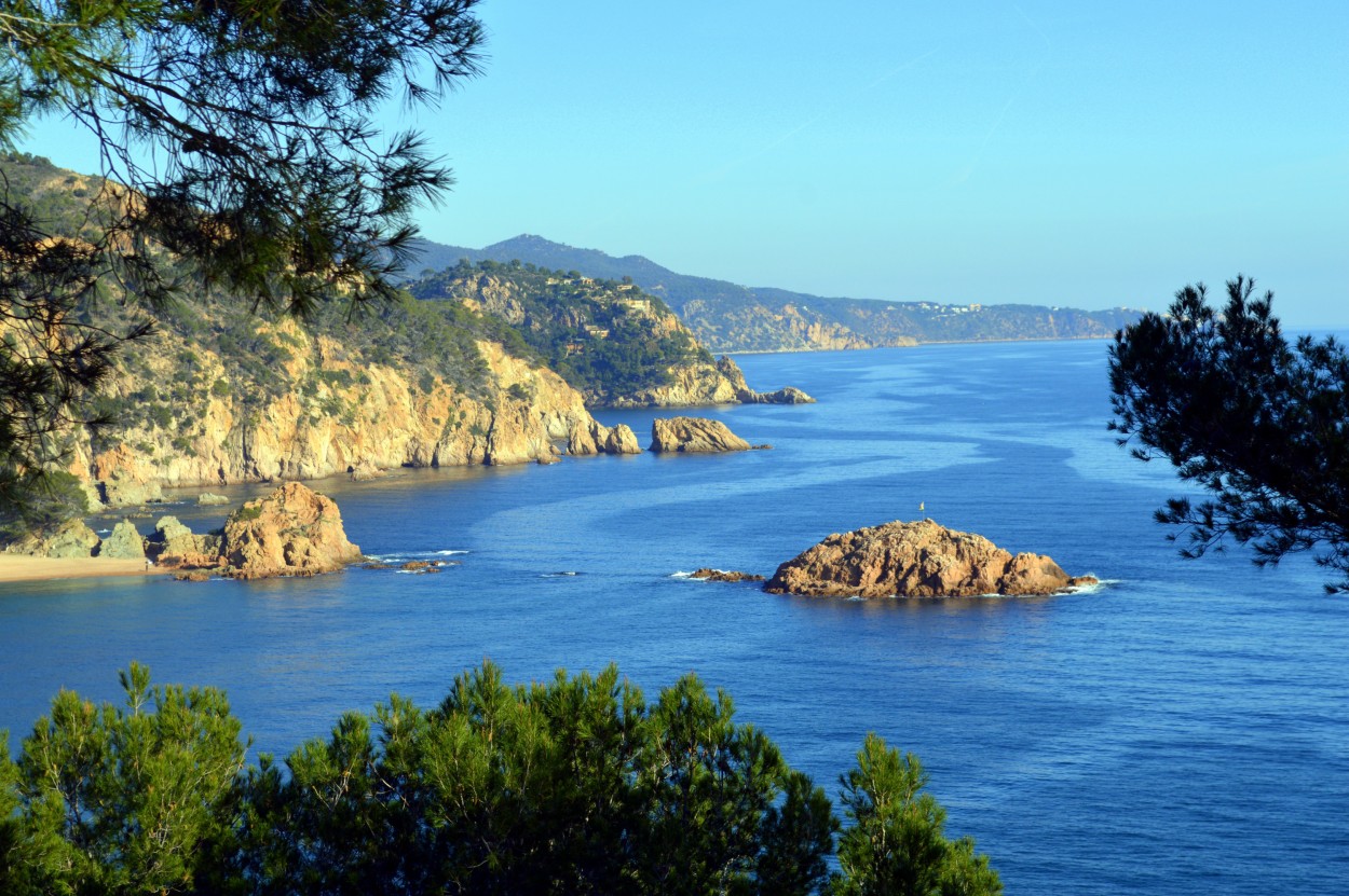 "Estelas en el mar" de Ana Rosalia Scott