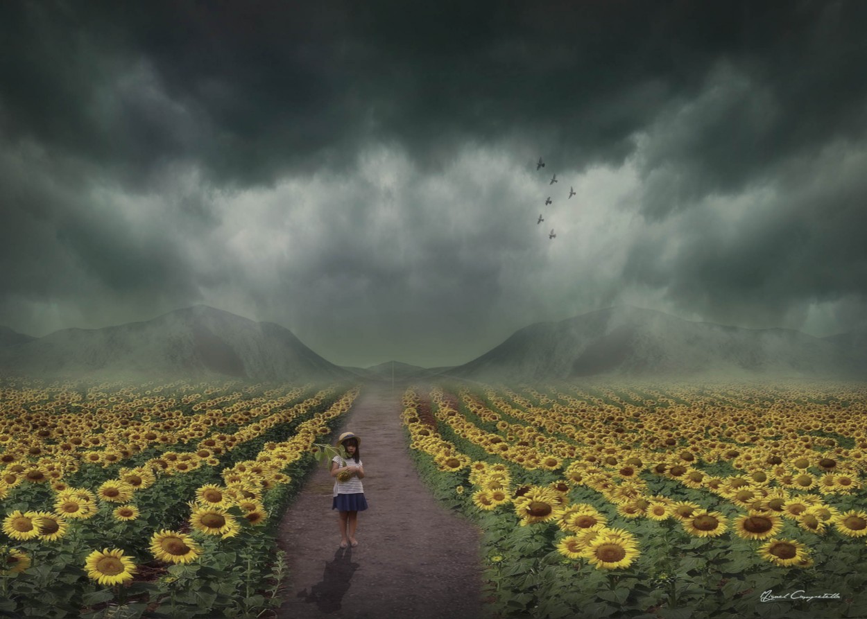 "Your image is of a Sunflower" de Miguel Campetella