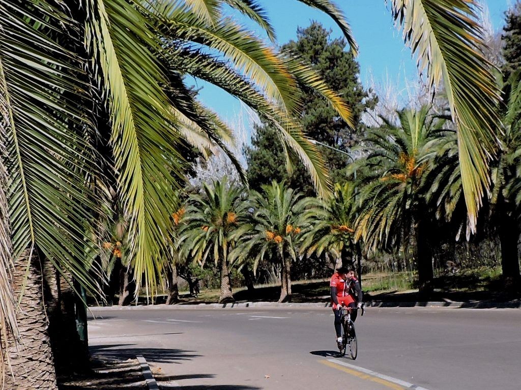 "Paseo matinal" de Raquel Pucheta